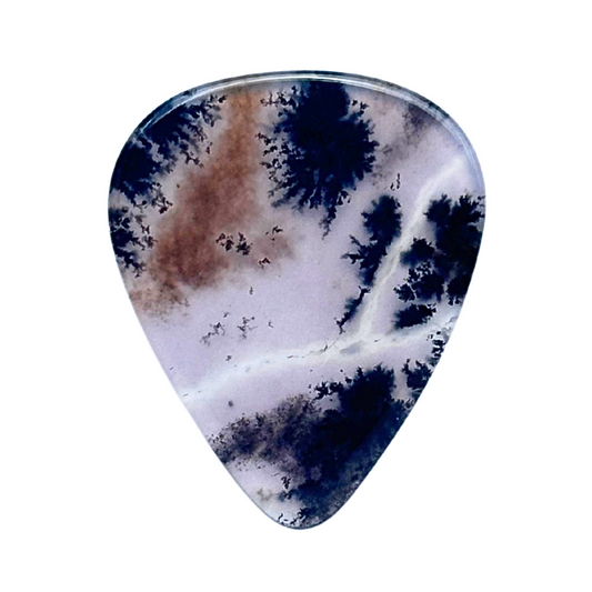 Dendritic Agate Collector Series