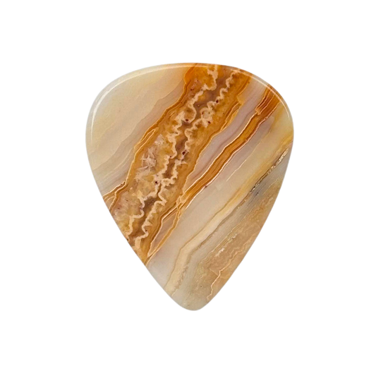 Crazy Lace Collector Series