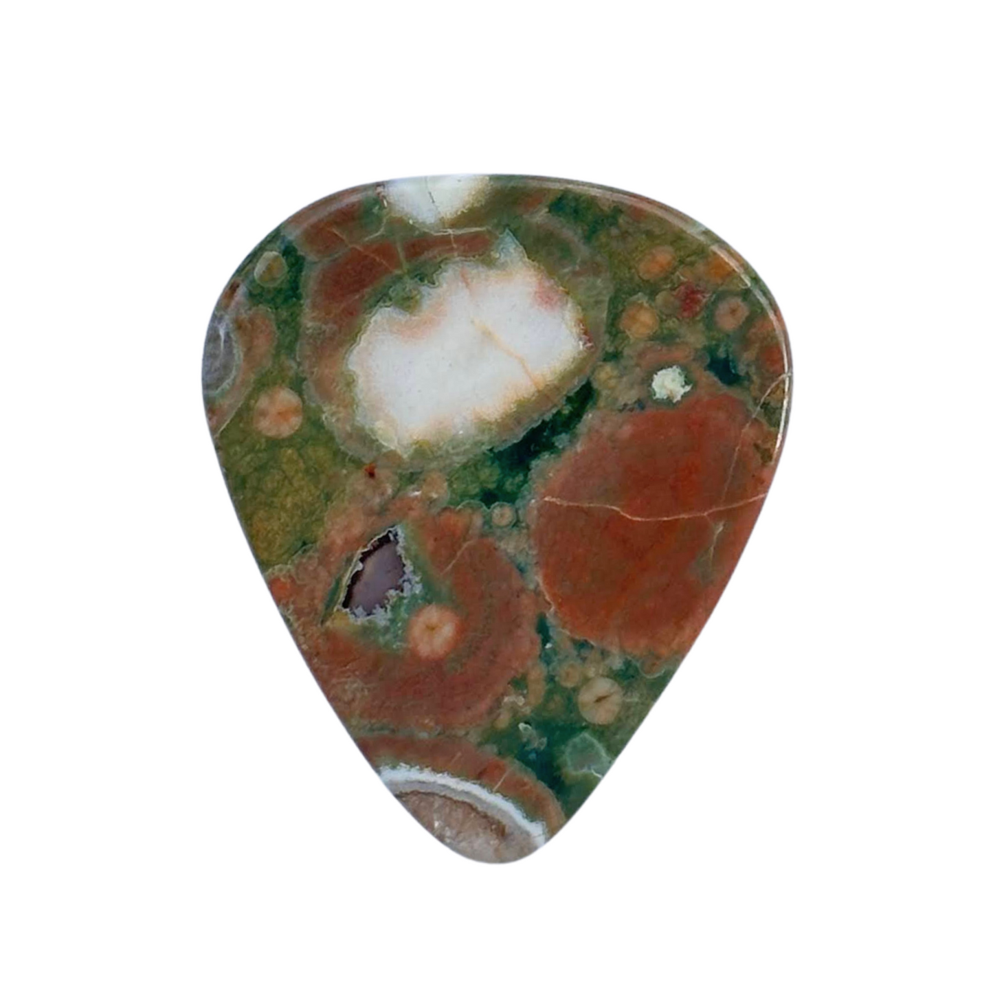 Rainforest Jasper Collectors Series