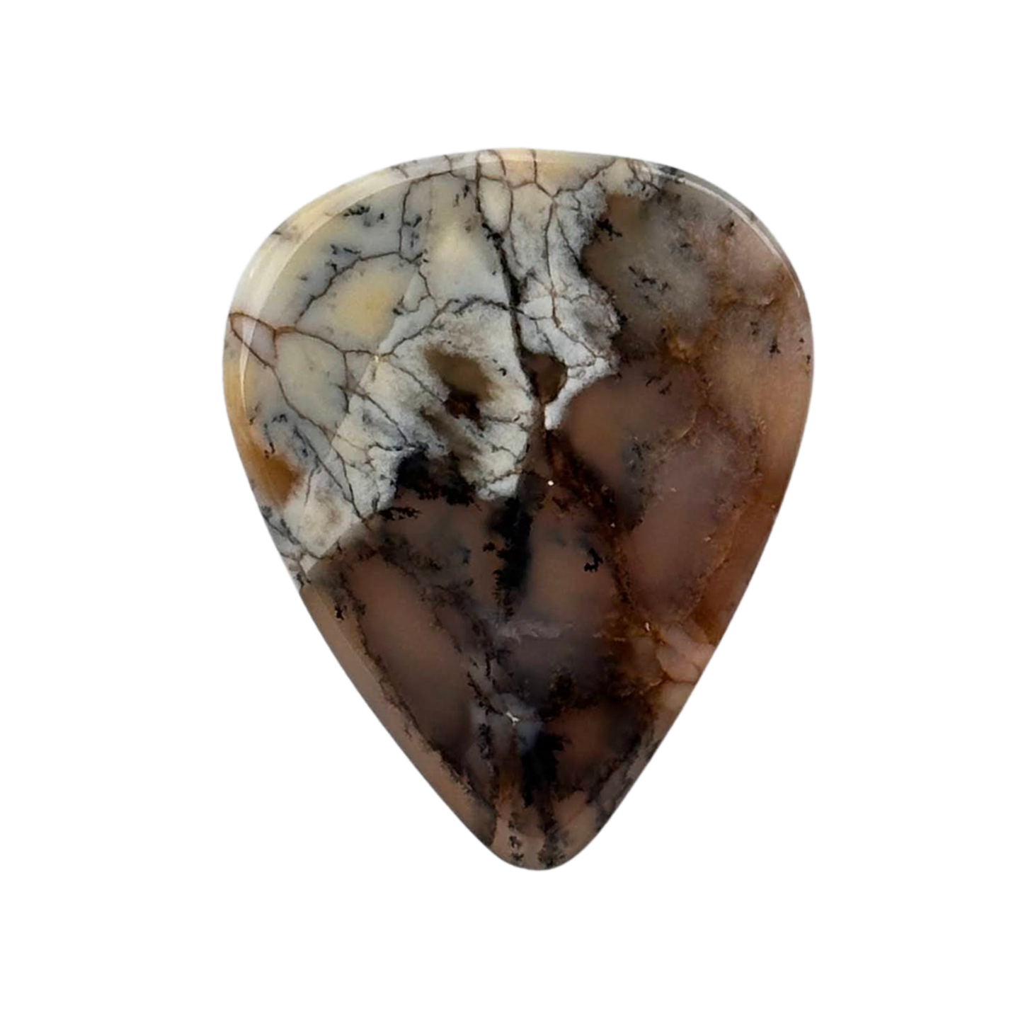 Dendritic Agate Collector Series