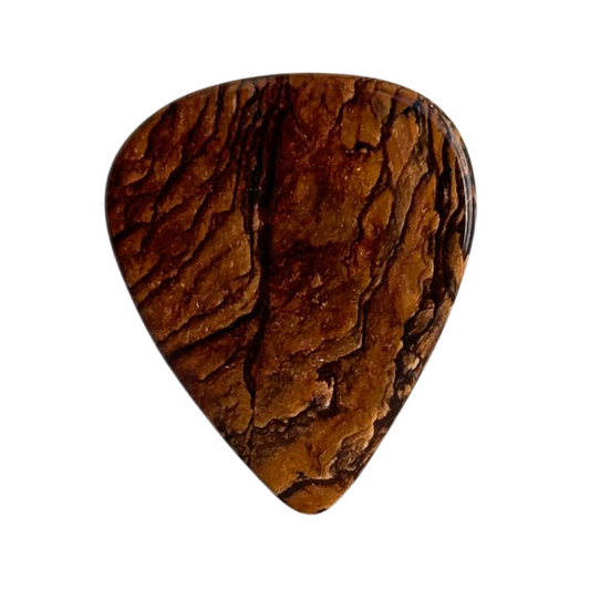 Biggs Jasper / Medium stone guitar pick / Acoustic guitar pick / Electric guitar pick