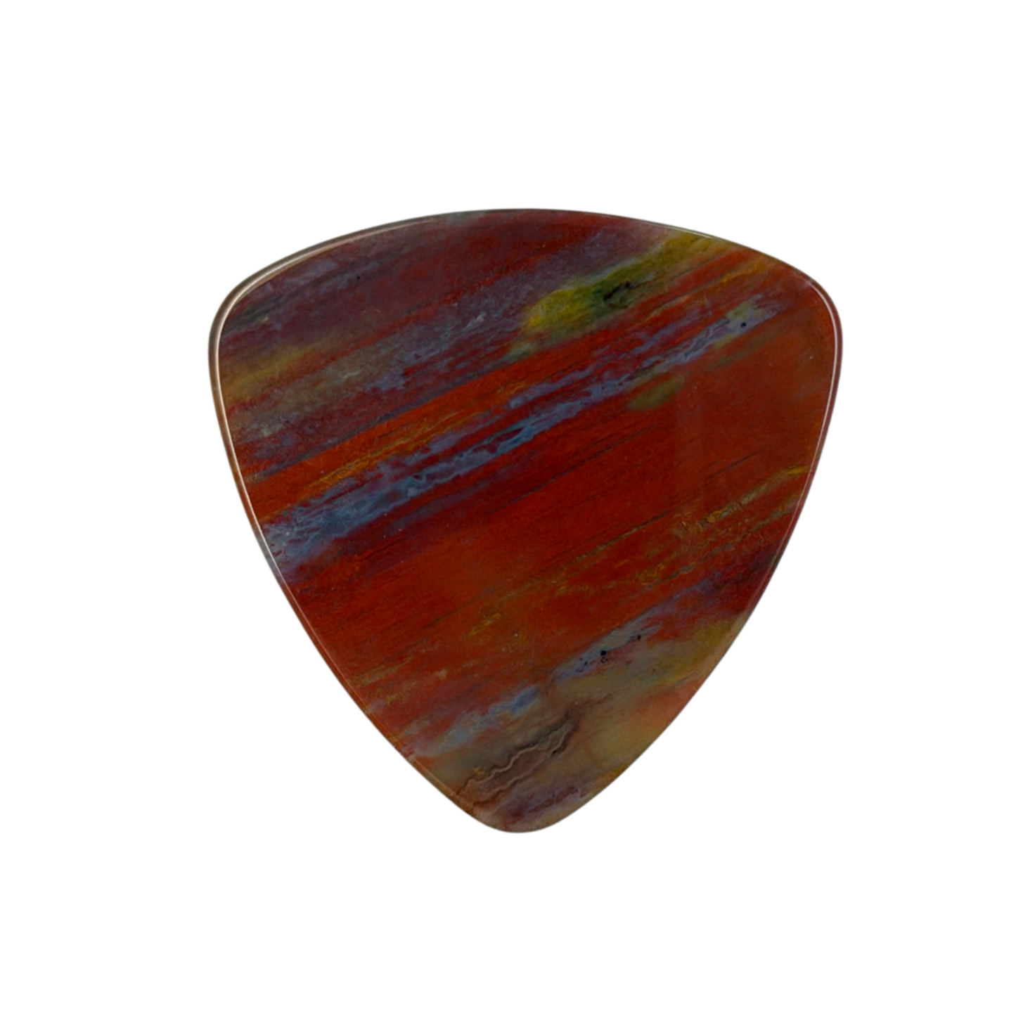 Petrified Wood