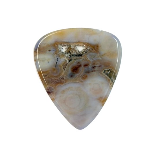 Ocean Jasper Collector Series