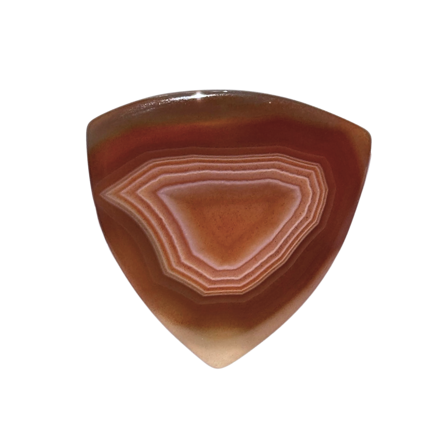 Brazilian Agate Collector Series