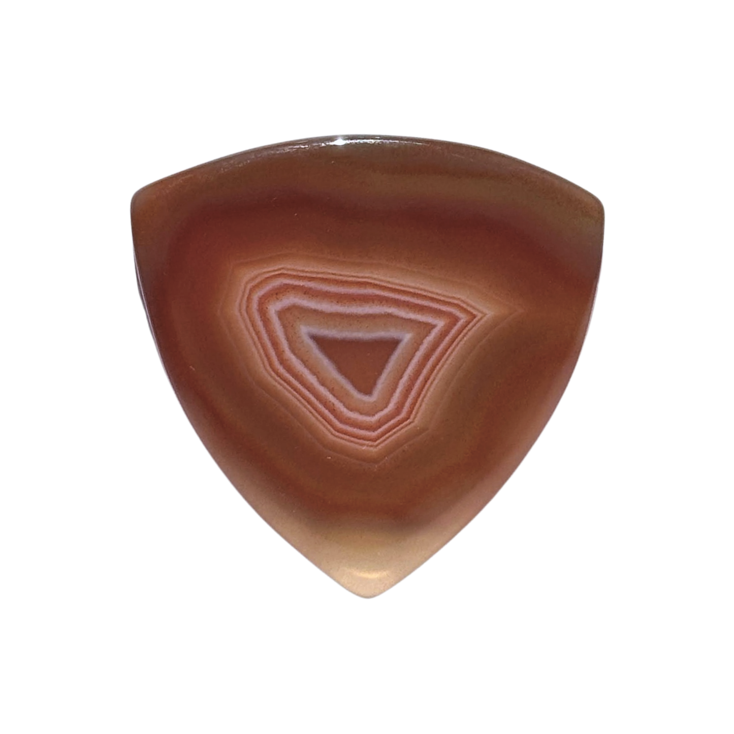Brazilian Agate Collector Series