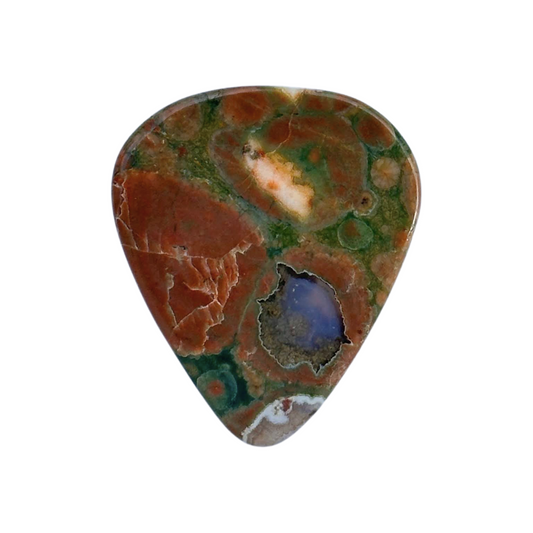 Rainforest Jasper Collectors Series