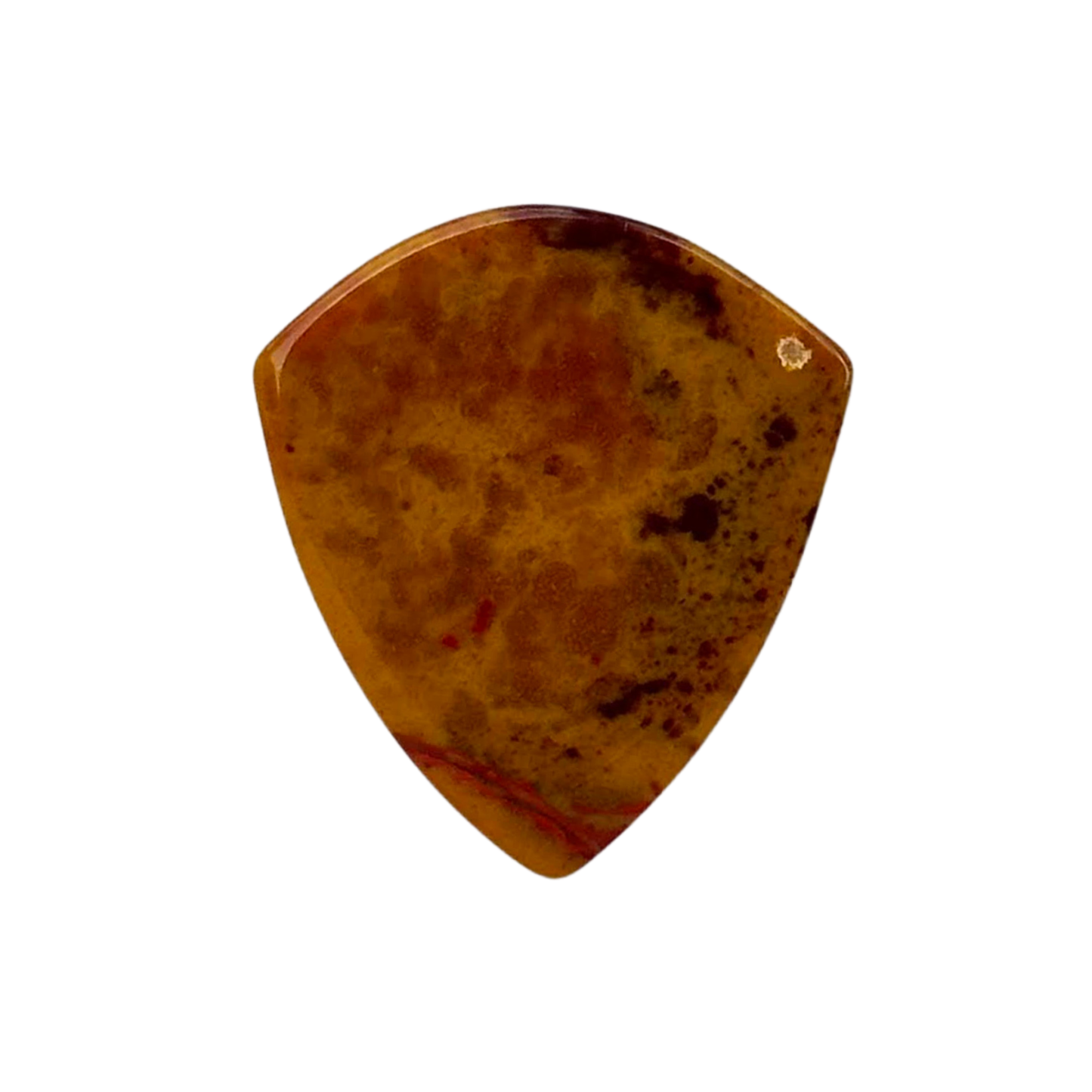 Coprolite Collectors Series