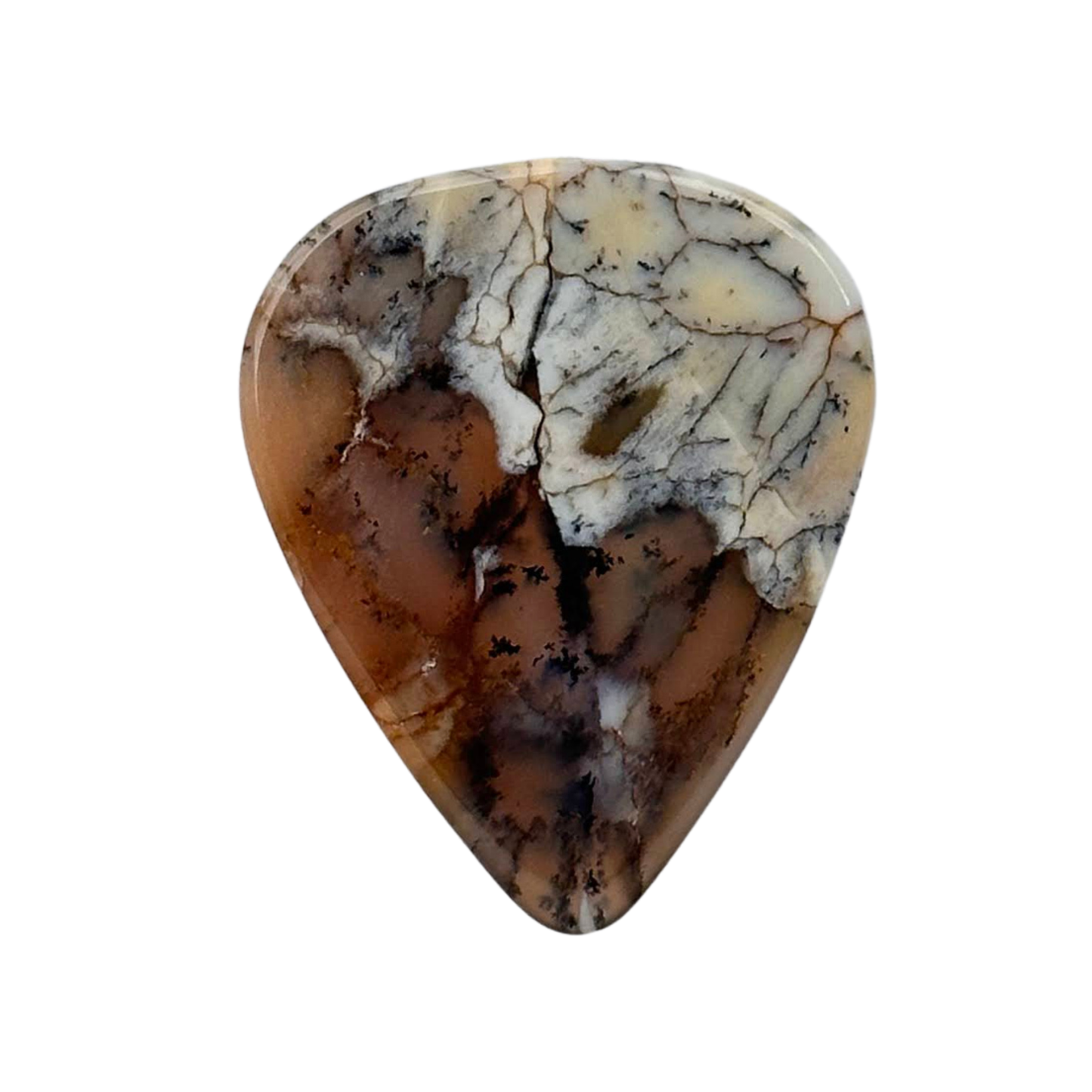 Dendritic Agate Collector Series