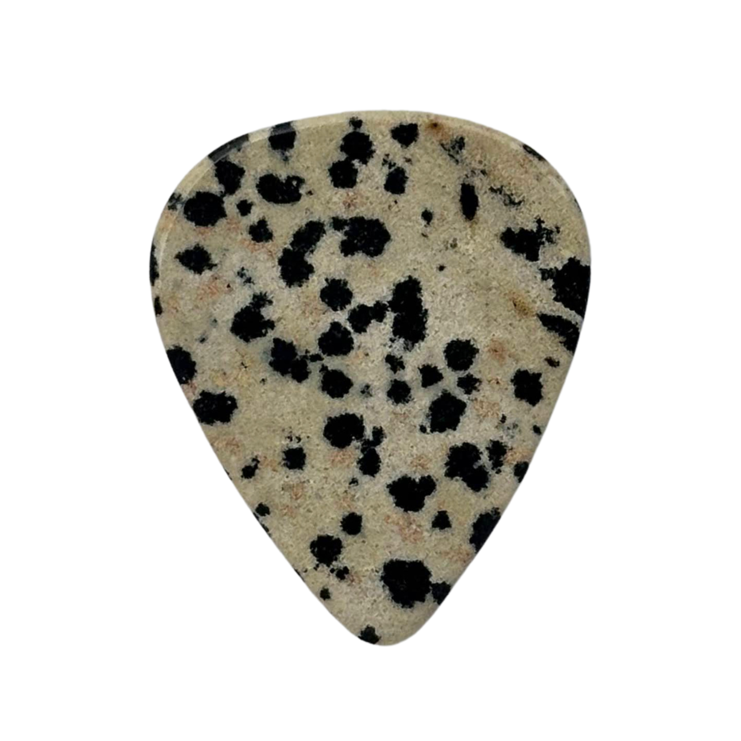 Dalmatian Jasper